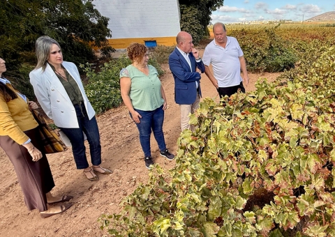 El alcalde Manolo Barón visita las instalaciones de la Bodega Cortijo La Fuente, referente en la producción vitivinícola de Antequ...