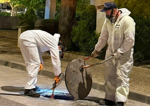 El Área de Medio Ambiente promueve el desarrollo de la campaña preventiva de control de cucarachas e insectos coincidiendo con la ...