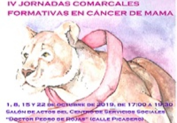 icoJornadasCancerdeMamaOctubre