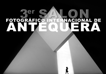 icoafa13