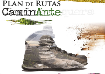icocaminante