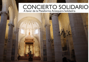 icoconcsolidario