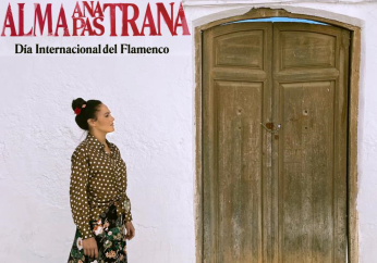 icoDIFlamenco
