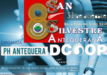 icoSanSilvestre
