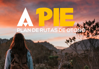 icoapie