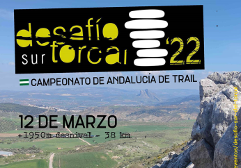 icodesafio22