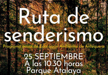 icosenderismo