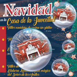 iconavjuventud