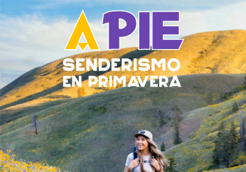 icosendprimavera