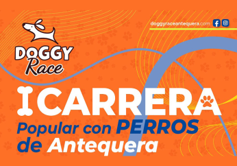 icodoggy