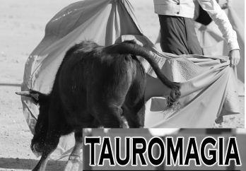 icotaurom