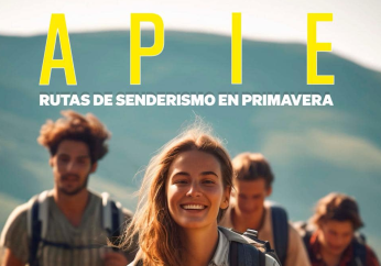 icoAPie24