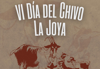 icochivo