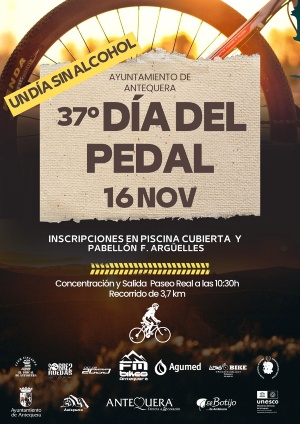 Dia del pedal 16 nov