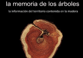 icoExpo arboles Biblioteca