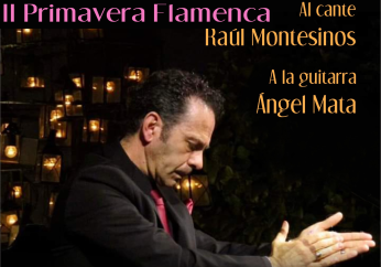 icoPflamenca