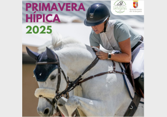 icohipica