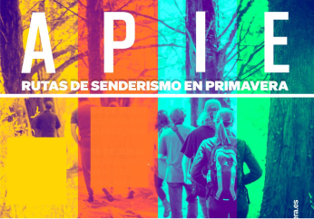 icopie